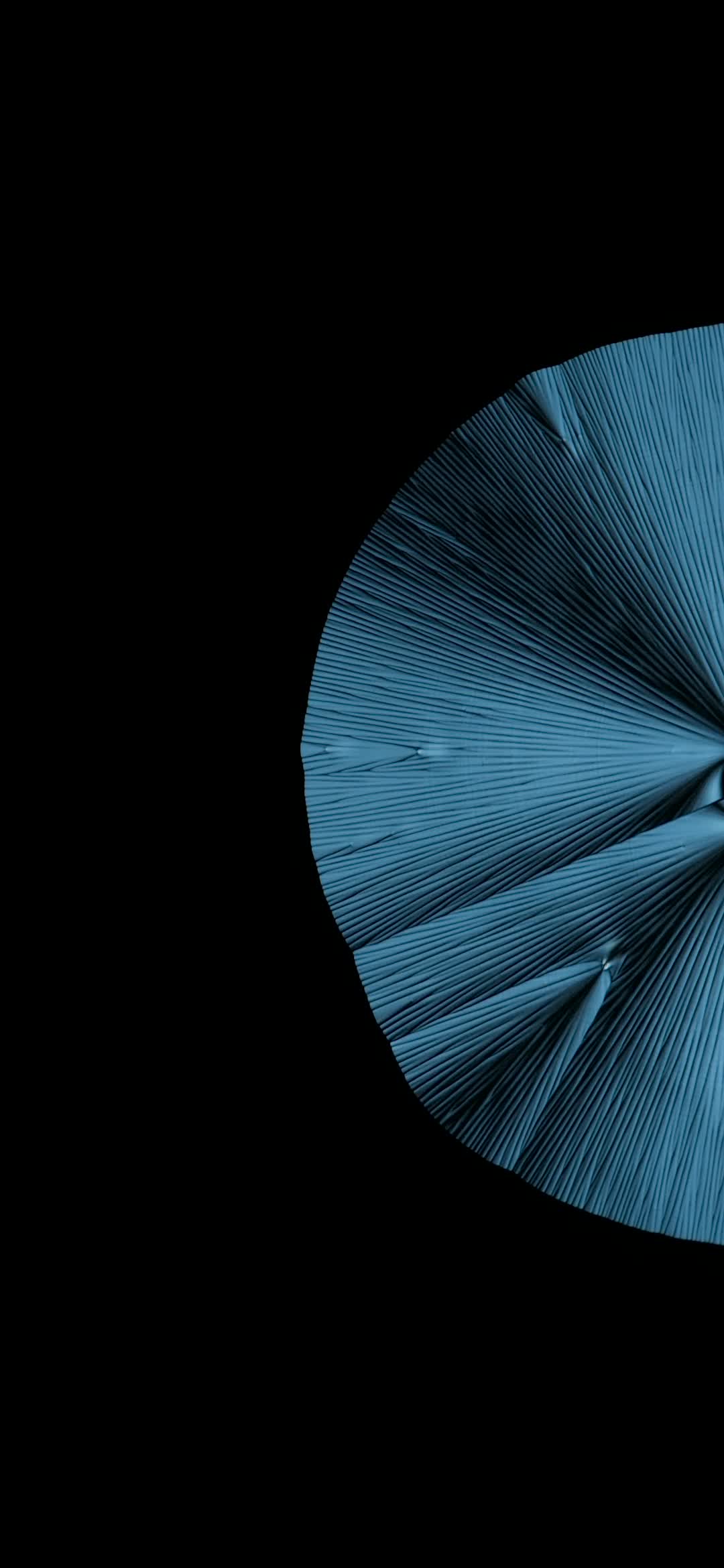 MIUI 13 Live Wallpaper 1